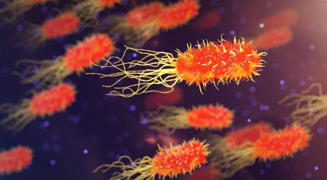 Microbiomuri
