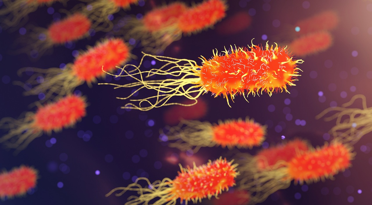 Microbiomuri