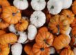6 beneficii aduse de dovleac sanatatii